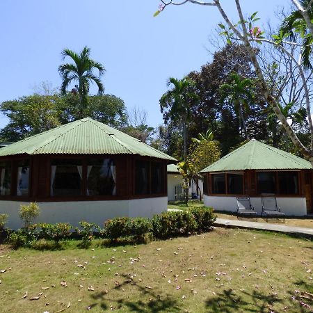Corcovado Beach Lodge Puerto Jimenez Exterior photo